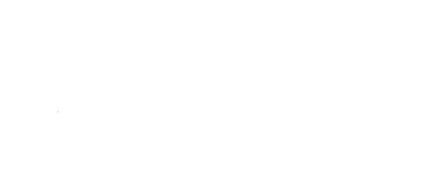 NCS Logo