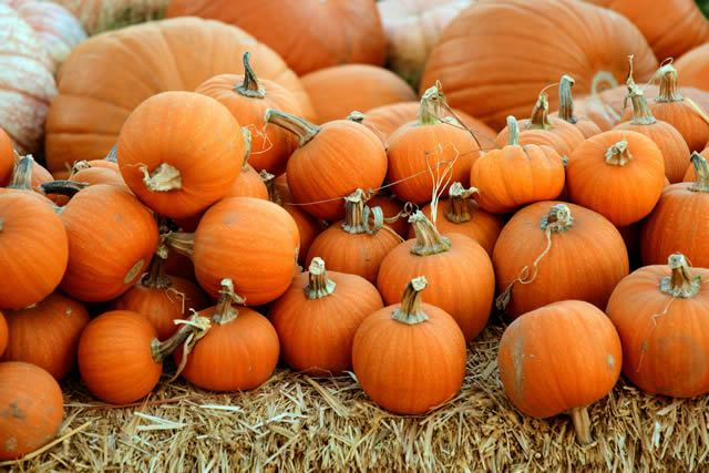 Pumpkins