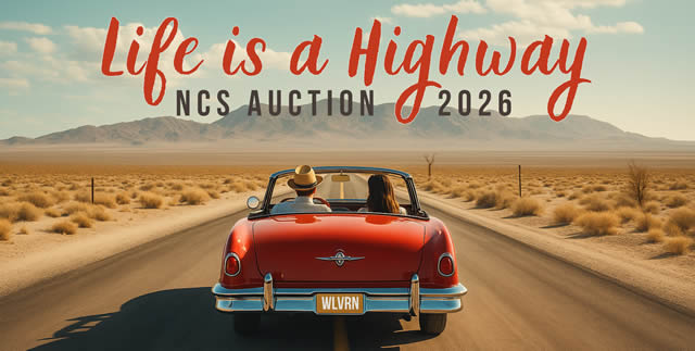 Annual Auction 2026 theme
