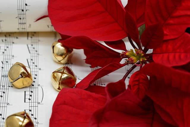 Poinsettia, bells and sheet music