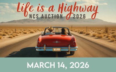 NCS 27th Annual Auction